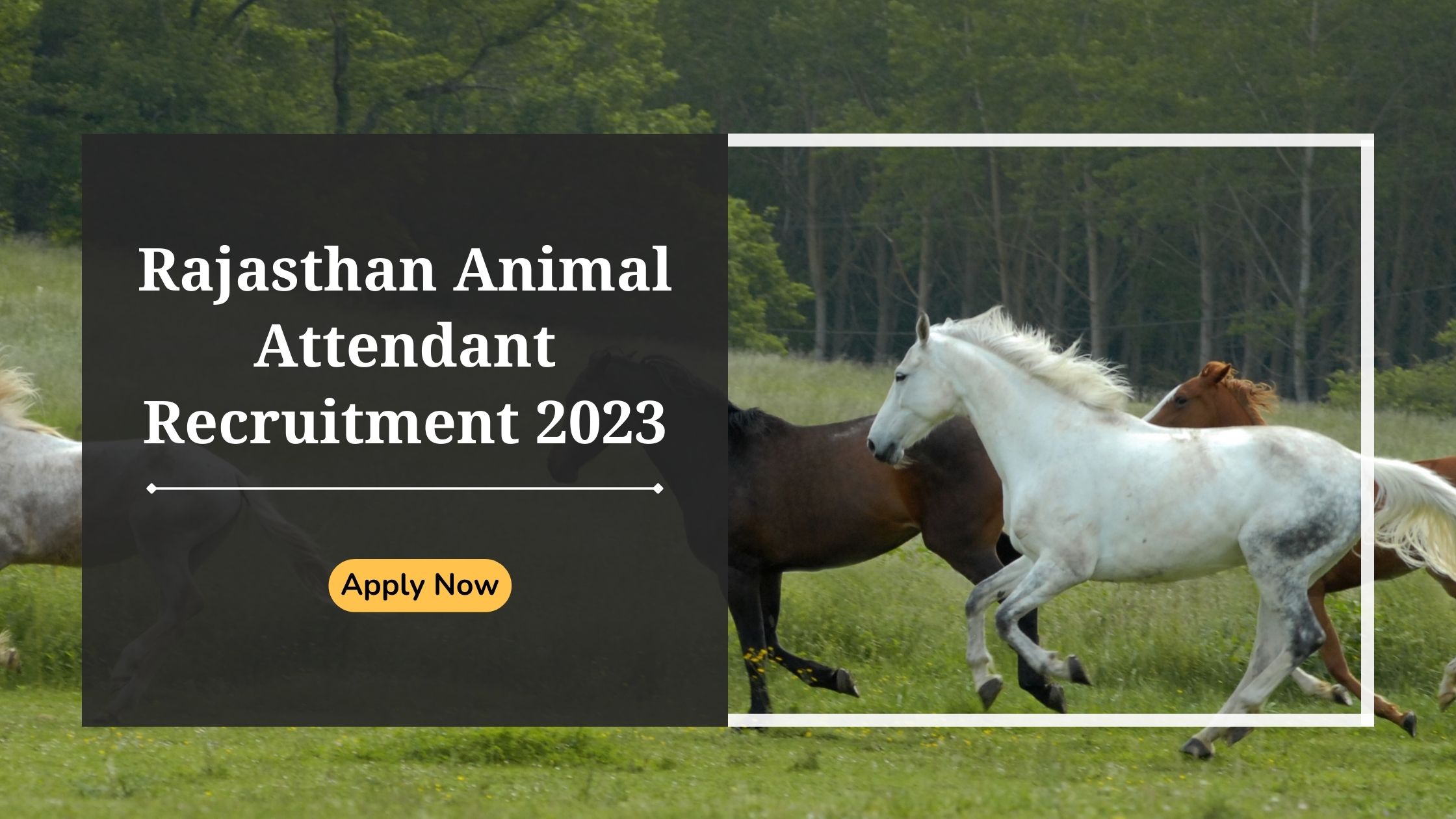 Rajasthan Animal Attendant Recruitment 2023 Apply Now